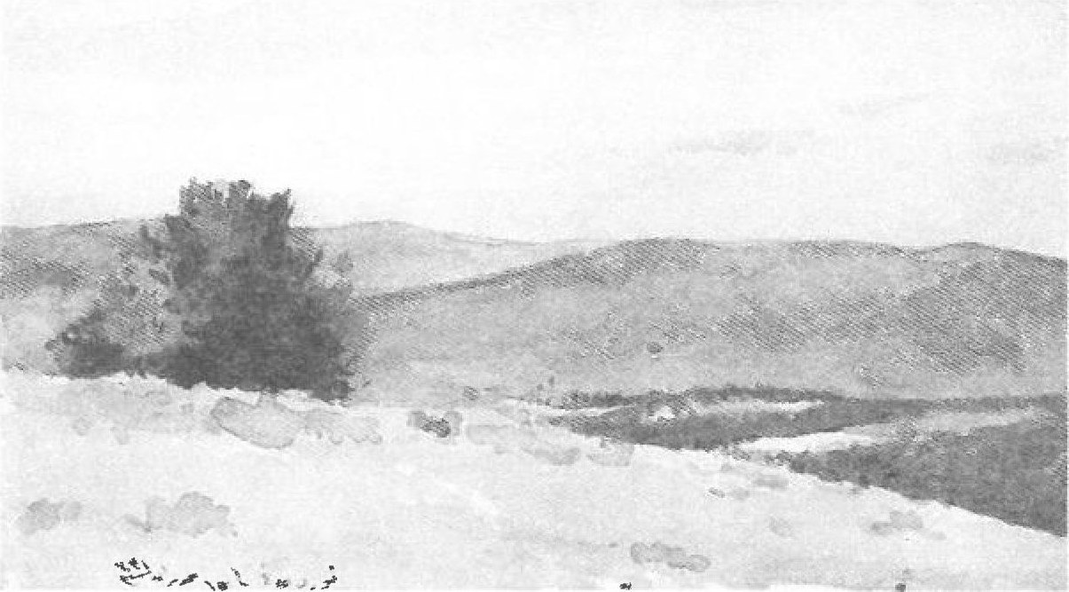 Photograph — Anzac Cove (Anzak Koyu) landscape